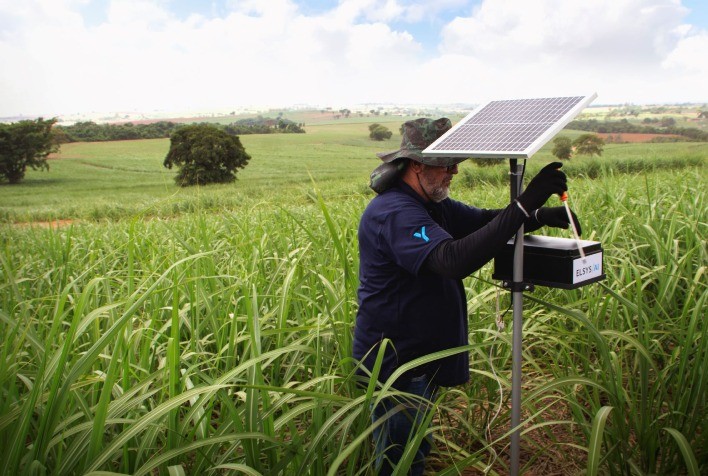 Tecnologia e conectividade impulsionam manejo digital de pragas em pequenas propriedades rurais