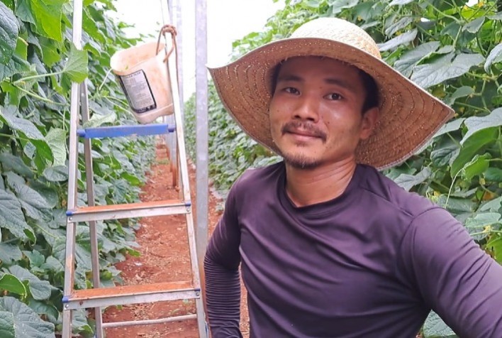 Tecnologia e Sustentabilidade Transformam a Produção de Pepino Japonês no Interior de São Paulo