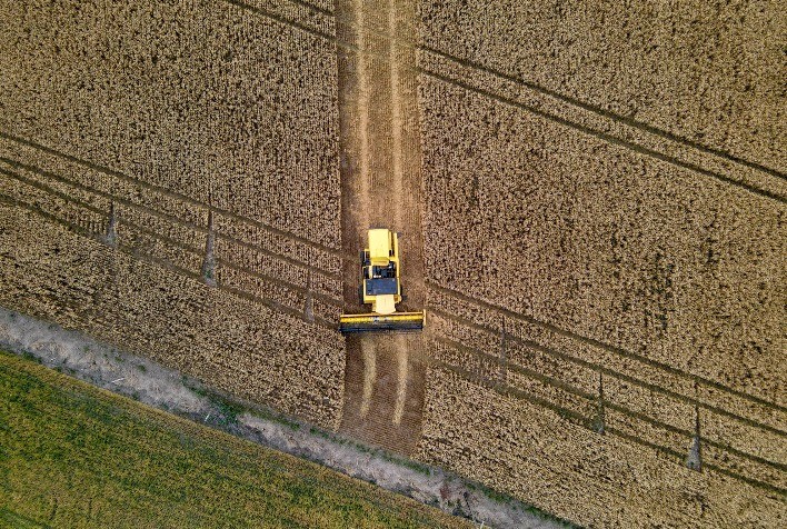 Projeção de Crescimento da Produção Agrícola no Paraná em 2025: Destaque entre os Estados do Sul e Sudeste