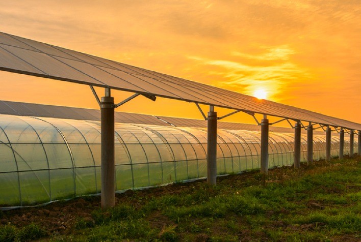 Entenda como o orçamento de energia solar varia no setor agrícola