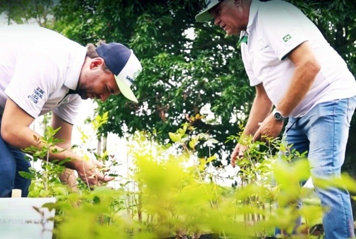 Empresas Brasileiras Enfrentam Desafios na Implementação de Normas de Sustentabilidade