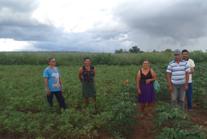 Agricultura Agroecológica Gera Benefícios para Produtores de Vargem Grande do Rio Pardo