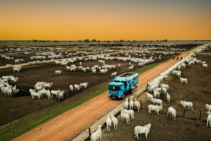 Estratégias para um Ano Transformador no Campo: Como Superar Desafios e Aproveitar Oportunidades em 2025