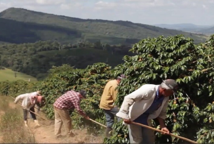 Taxa de Desemprego Atinge Menor Nível em 2024, Mas Desafios Inflacionários Persistem