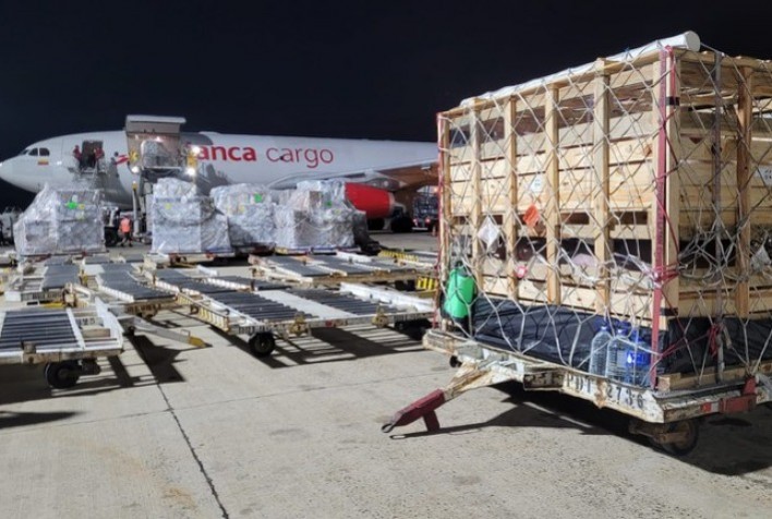 Brasil Realiza Primeira Exportação Aérea de Suínos Reprodutores de Elite para a Colômbia