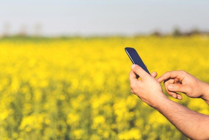 Agtech Calice Chega ao Brasil com Plataforma de IA Avançada para Impulsionar a Inovação no Agro