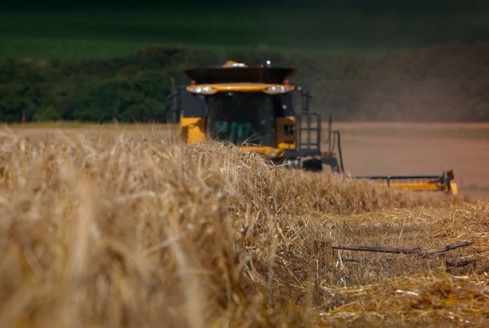Nova Era da Cevada na Castrolanda: A Chegada da Cultivar Princesa