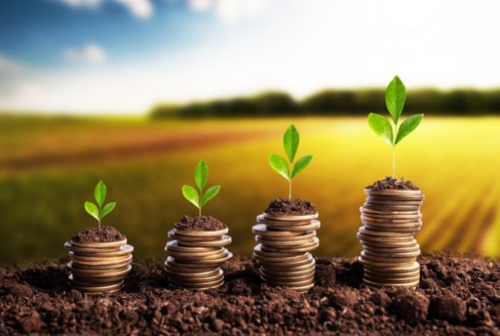 Sustentabilidade, Inovação e Novos Modelos de Financiamento: Perspectivas para o Agronegócio em 2025