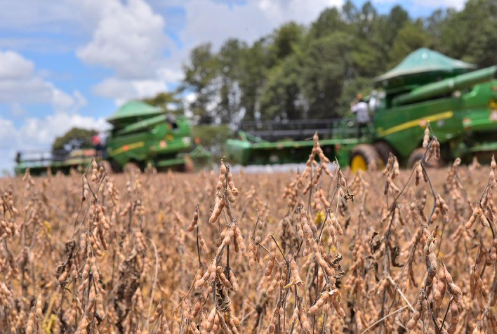 Soja retoma valorização na Bolsa de Chicago impulsionada pelo farelo