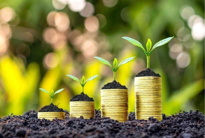 Plano Safra 24/25: Produtores terão bonificação nas taxas de custeio para práticas sustentáveis