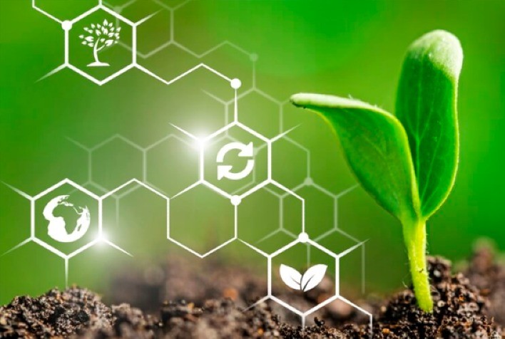 Lei de Bioinsumos: Avanço Regulatório e Segurança para o Consumidor