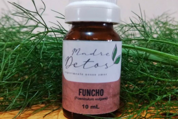 Sítio Cheiros e Sabores Investe em Produção Orgânica de Plantas Medicinais