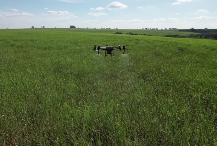 Tereos Amplia Uso de Drones para Controle Biológico nos Canaviais