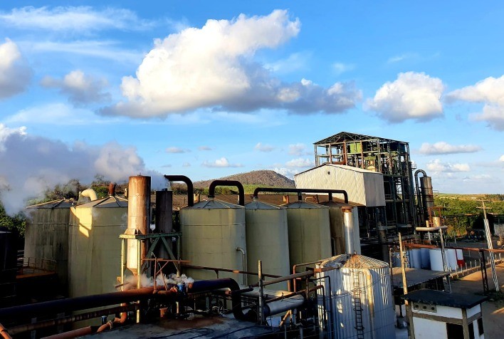 Usina Coaf Supera Moagem em 10% Apesar das Oscilações Climáticas