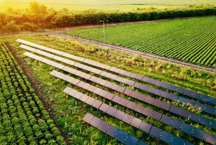 Energia solar no campo: um caminho sustentável e econômico para o agronegócio