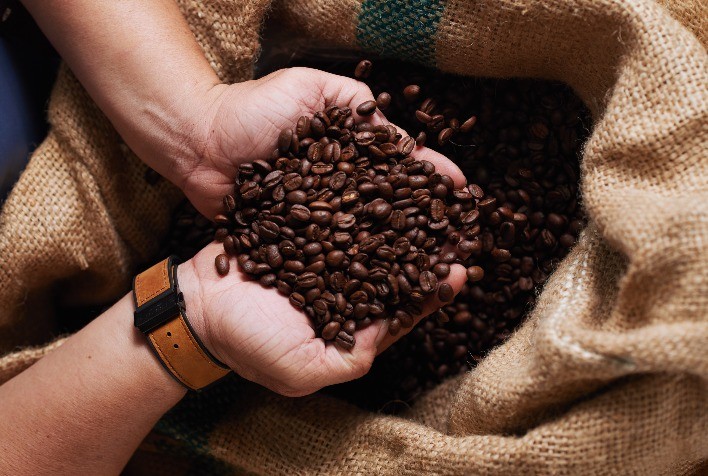 Mercado do Café Apresenta Recuo com Realização de Lucros e Ajustes Técnicos