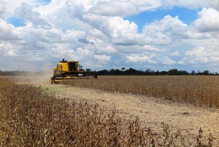 Colheita de soja no Brasil avança para 9% com forte ritmo no Paraná e melhora em Mato Grosso