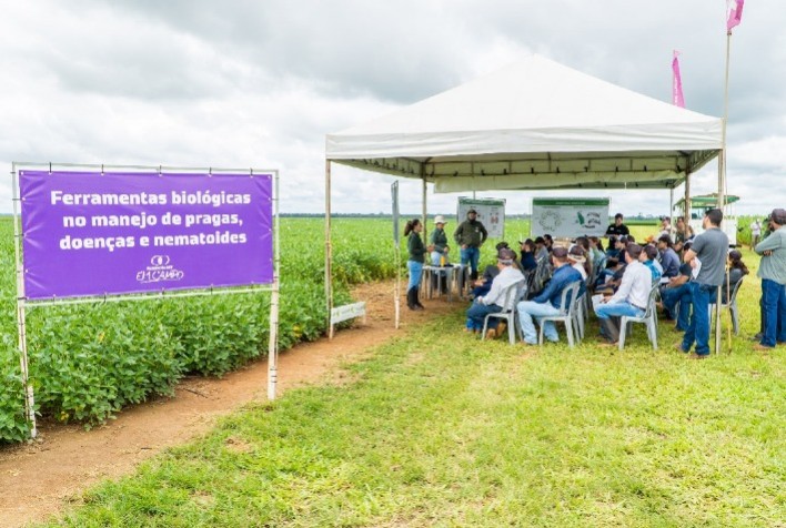 Avanços no Manejo de Cultivares e Controle de Daninhas são Destaques em Evento da Fundação MT