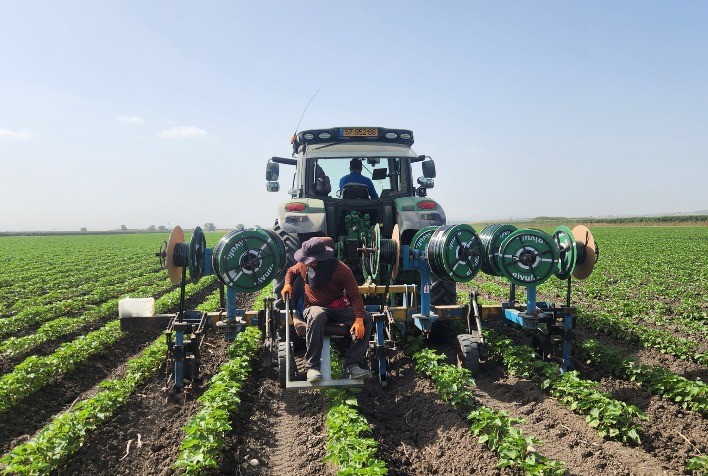 Água: Um Desafio Global para a Agricultura Moderna