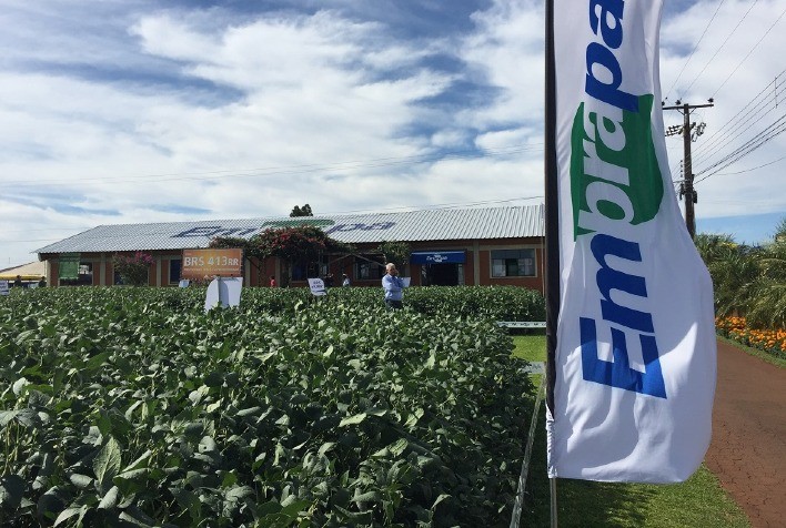 Embrapa Apresenta Novas Tecnologias para Produção Sustentável no Show Rural Coopavel
