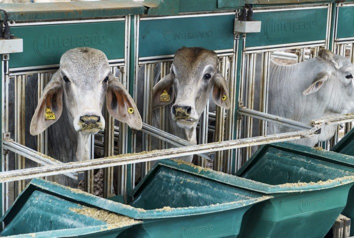 Inscrições Abertas para a 5ª Edição da Prova de Eficiência e Performance Brahman