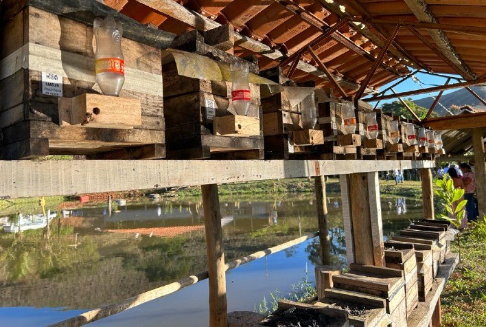 Meliponicultura: Aposta de Agricultores Familiares em Sem Peixe Contribui para a Sustentabilidade e Geração de Renda