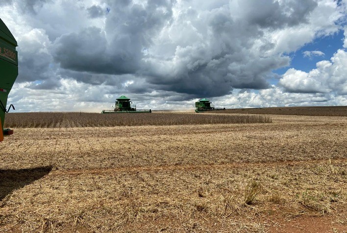 Colheita da soja avança lentamente em Unaí (MG) e alcança 7% da área plantada