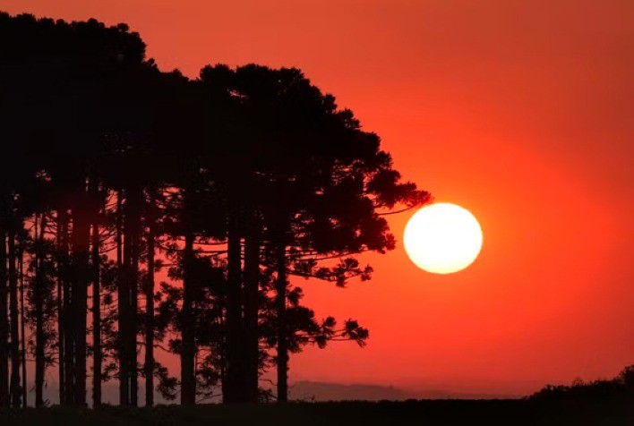 Janeiro de 2025: Mês Mais Quente Já Registrado, Mesmo com Tendência de Resfriamento La Niña