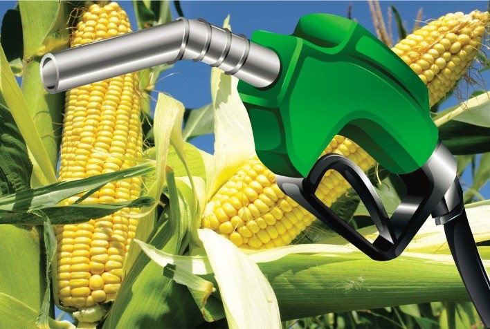 Etanol de milho impulsiona agronegócio sem pressionar a inflação alimentar