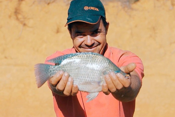 Cresol Lidera Operações no BNDES em 2024 e Celebra 25 Anos de Parceria