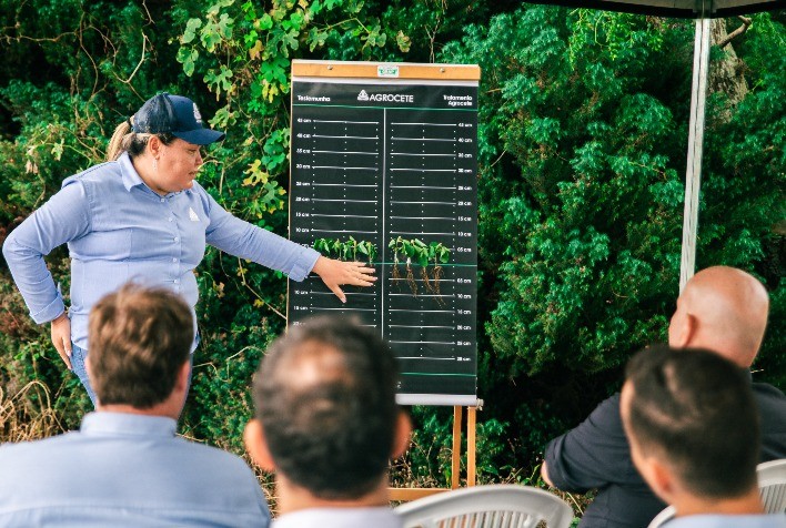 Manejo Integrado: Pilar para o Aumento Sustentável da Produtividade na Agricultura