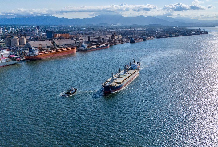Porto de Paranaguá lidera exportações de óleo vegetal e frango congelado no Brasil