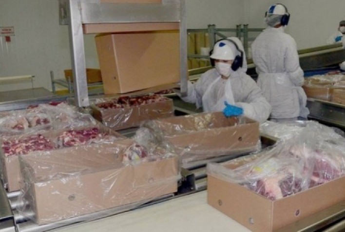 Exportações de Carne Bovina Brasileira Alcançam Recorde em Janeiro e Projetam Perspectivas Positivas para 2025