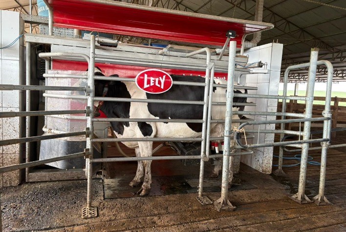 A Revolução da Produção Leiteira: Automação e Análise de Dados Transformam a Gestão da Pecuária