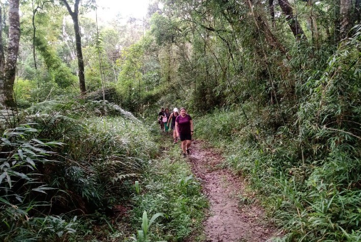 Caminhadas na Natureza impulsionam turismo rural no Paraná e movimentam R$ 1,4 milhão em 2024