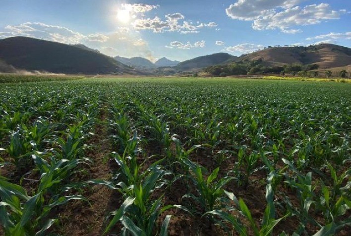 Plantio da Safrinha 2025 Alcança 21,8% da Área Estimada no Centro-Sul do Brasil