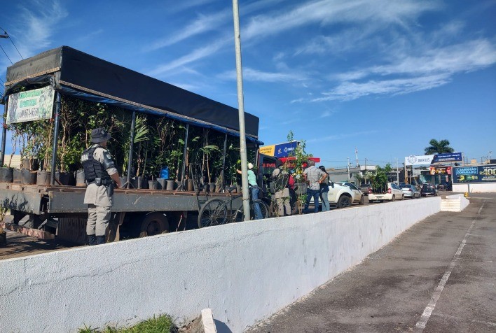 Agrodefesa Apreende 350 Mudas Ilegais em Anápolis e Reforça Combate ao Comércio Irregular