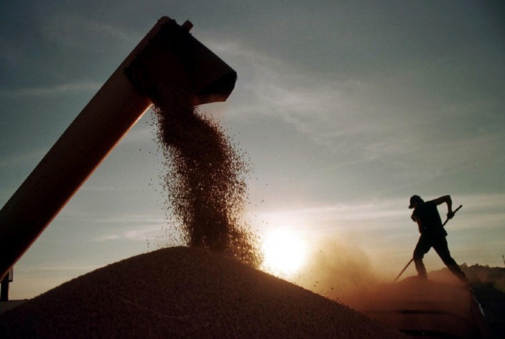 Mato Grosso já comercializou quase metade da safra de soja 2024/25, aponta Imea