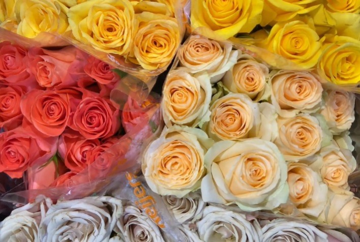 Valentine's Day Ganha Popularidade no Brasil e Impulsiona o Mercado de Flores e Plantas