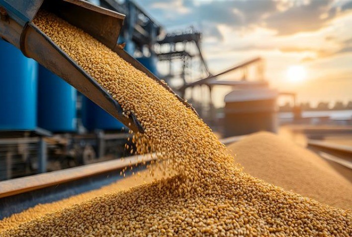 Desafios na Armazenagem de Grãos: Crescimento da Produção Exige Mais Infraestrutura e Qualidade