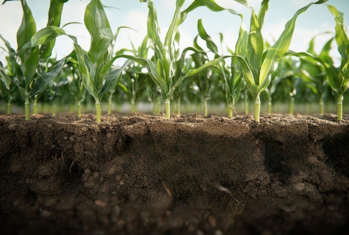 Biosphera Lança BioVelox, Bioinsumo Inovador à Base de Microrganismos Inéditos