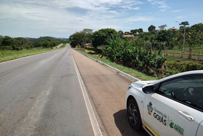 Proibição do Cultivo de Bananeiras nas Faixas de Domínio de Rodovias Goianas: Riscos à Agricultura e ao Meio Ambiente