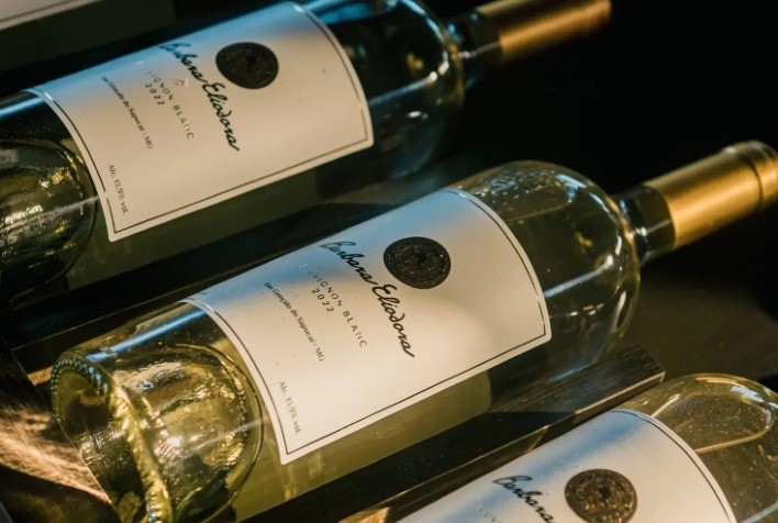 Vinhos de Inverno do Sul de Minas Gerais Recebem Reconhecimento como Indicação Geográfica