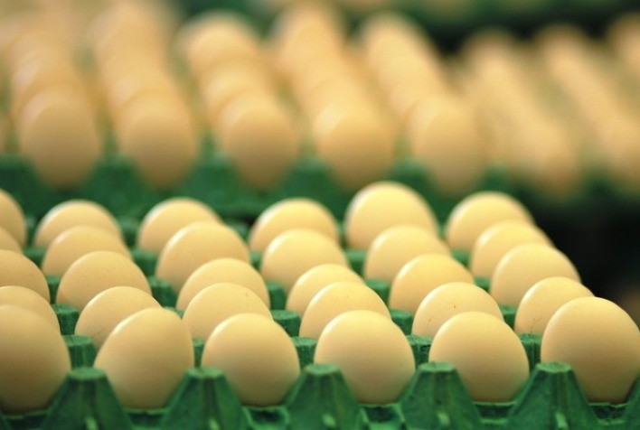 Preços dos ovos atingem recorde nominal com baixa oferta e demanda aquecida