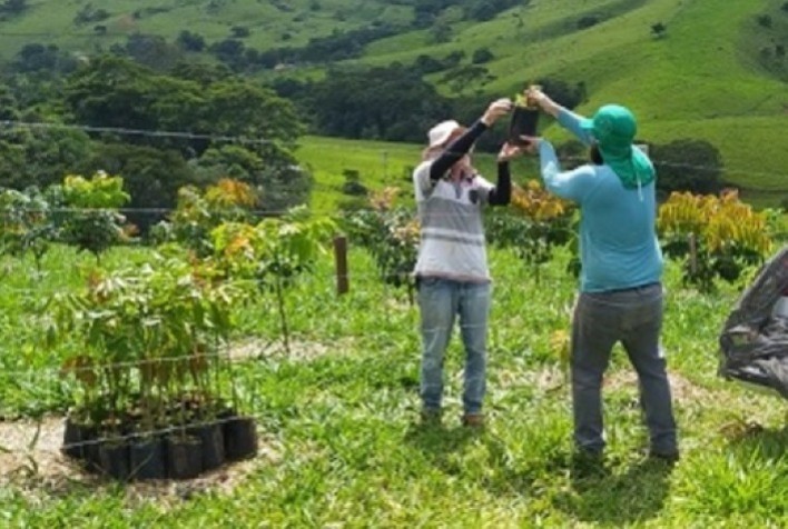 SeloVerde MG certifica conformidade do agro mineiro para exportação à União Europeia