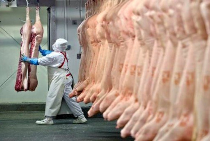 Exportações de Carne Suína Crescem em Receita e Volume Médio Diário até a Segunda Semana de Fevereiro