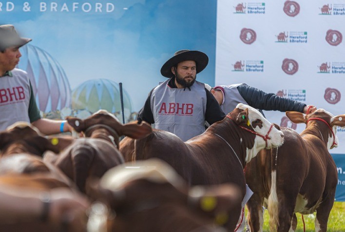 Mundial Braford: Encontro Internacional Reunirá Pecuaristas para Debates sobre Produção Sustentável de Carne