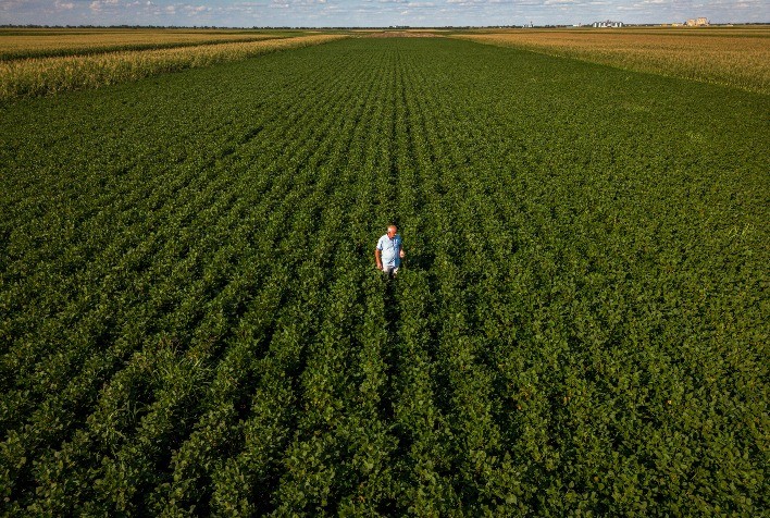 Cinco Estratégias para Maximizar a Rentabilidade na Safra de Verão
