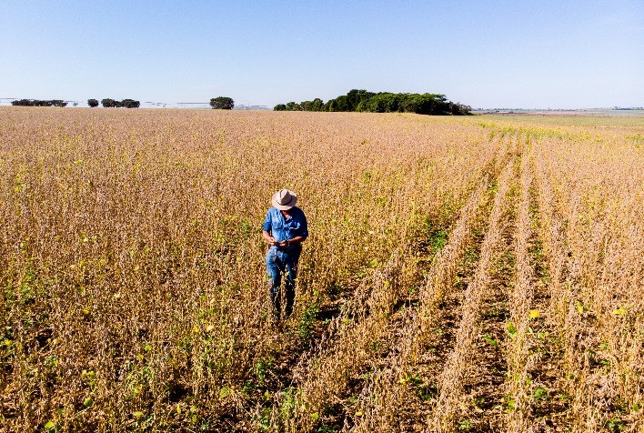 Sistema Campo Limpo: Modelo de Sustentabilidade no Agronegócio Brasileiro