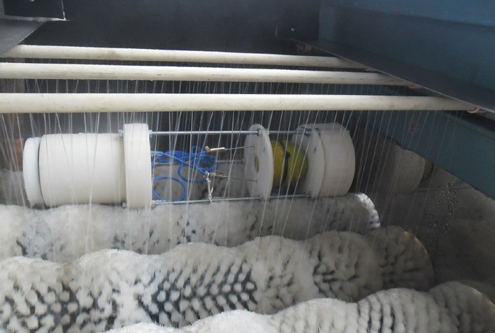 Inovação Brasileira Monitora Transmissão de Calor em Frutas e Contribui para Redução de Perdas Pós-Colheita